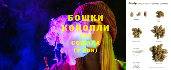 стаф Нефтегорск