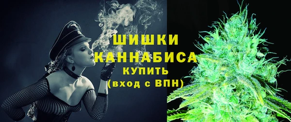 стаф Нефтегорск