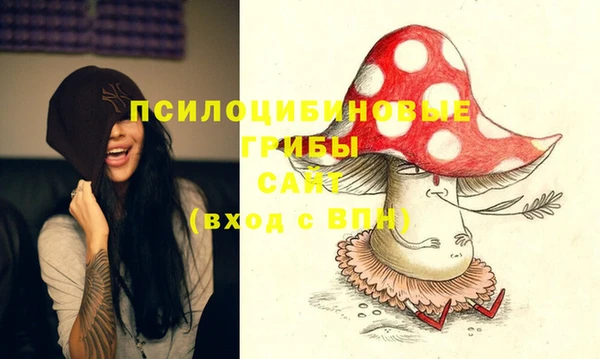 стаф Нефтегорск