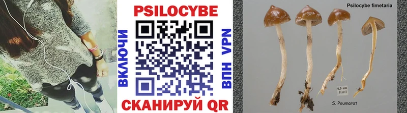Галлюциногенные грибы ЛСД  ОМГ ОМГ зеркало  Сортавала 